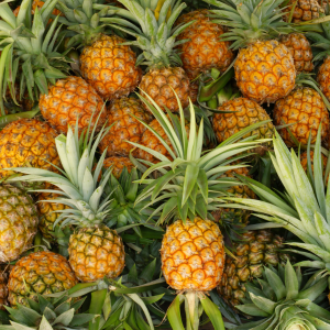 Pineapple (আনারস)