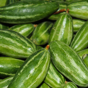 Pointed gourd (পটল)