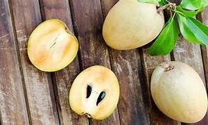 Sapodilla (সফেদা)